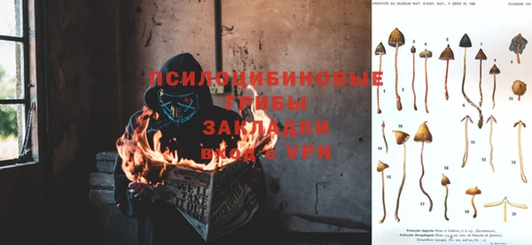 шишки Алексин