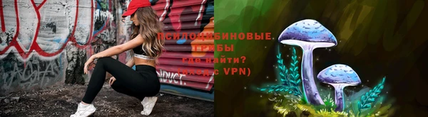 шишки Алексин