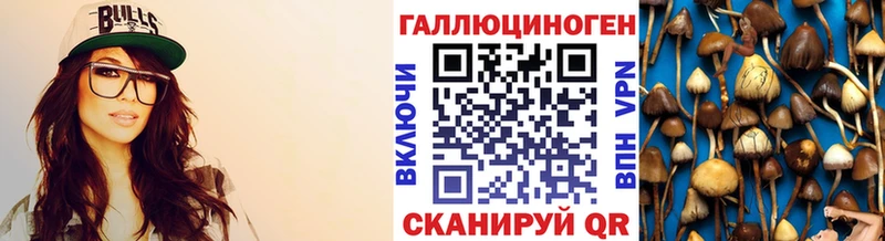 omg онион  Ахтырский  Псилоцибиновые грибы Magic Shrooms 